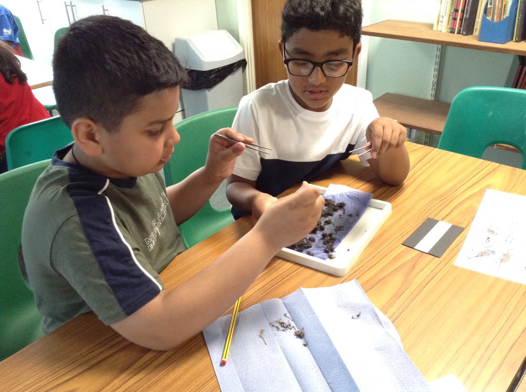 Nene Valley Office tweet media