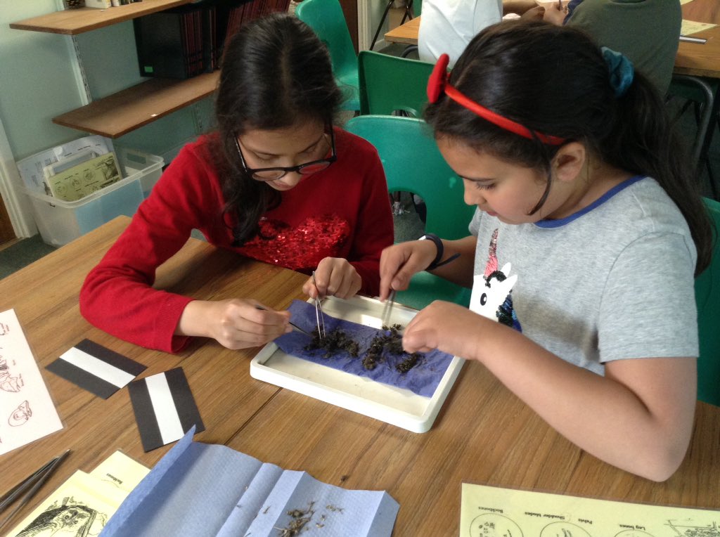 Nene Valley Office tweet media