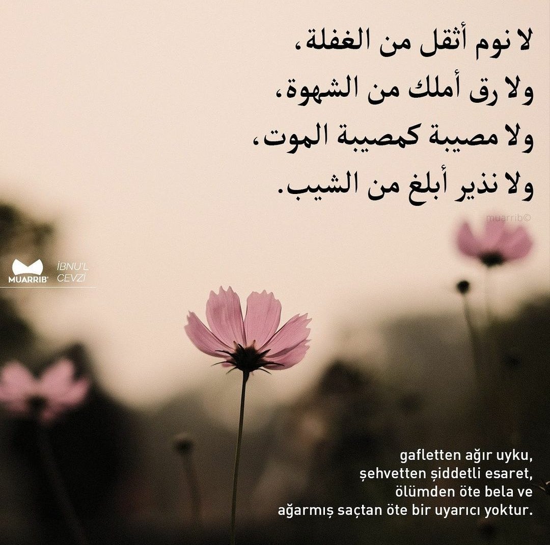 Ayşe✨ (@merdumgiriz__02) on Twitter photo 