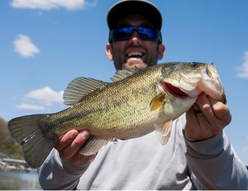 SPORTSMANchnl's tweet photo. Sight Fishing for Spring Largemouth Bass with a Fly Rod, here's how to get it done via Game & Fish Magazine: https://t.co/NtrqZrrTJU
#IAMSPORTSMAN #ThisIsFishing #fishing #springfishing #bass #bassfishing #springbass #largemouthbass https://t.co/l928nFc8kZ