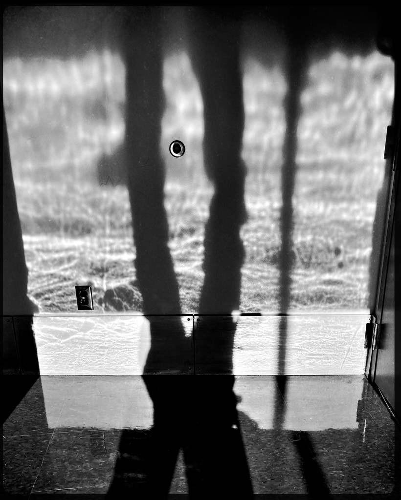 WehmeierPhoto's tweet photo. Some days I don't know which way is up... But upon reflection😜 https://t.co/mf0HTI5mvJ