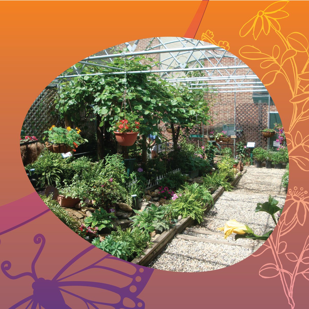 cscscience's tweet photo. FLUTTERBY FUN FACT: Butterflies can only see in the colors red, green, and yellow.

#CSCButterflies #CSCScience #CatawbaScienceCenter #HickoryNC #828 #828isGreat #MyCatawbaCounty #Science #ScienceEducation #Education #STEM #STEMEducation https://t.co/RILGAsQYJ2