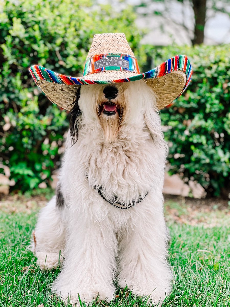 bayhedden's tweet photo. Happy Cinco De Mayo from @dustinlynch #1 fan❤️🤪 https://t.co/t940eUzxtK