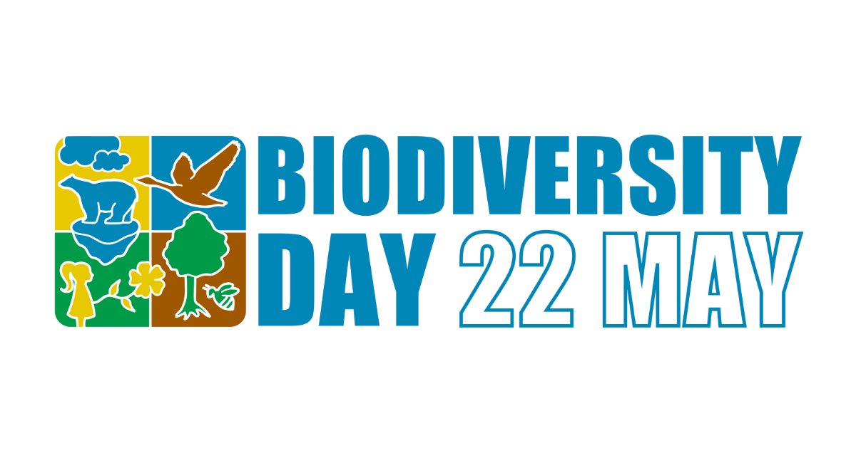 22 May is #BiodiversityDay – a chance to help protect the incredible diversity of life on Earth. 🌏🌱

We all have a role to play in acting #ForNature. Discover 22 actions you can take to support #biodiversity.

➡️ cbd.int/biodiversity-d…