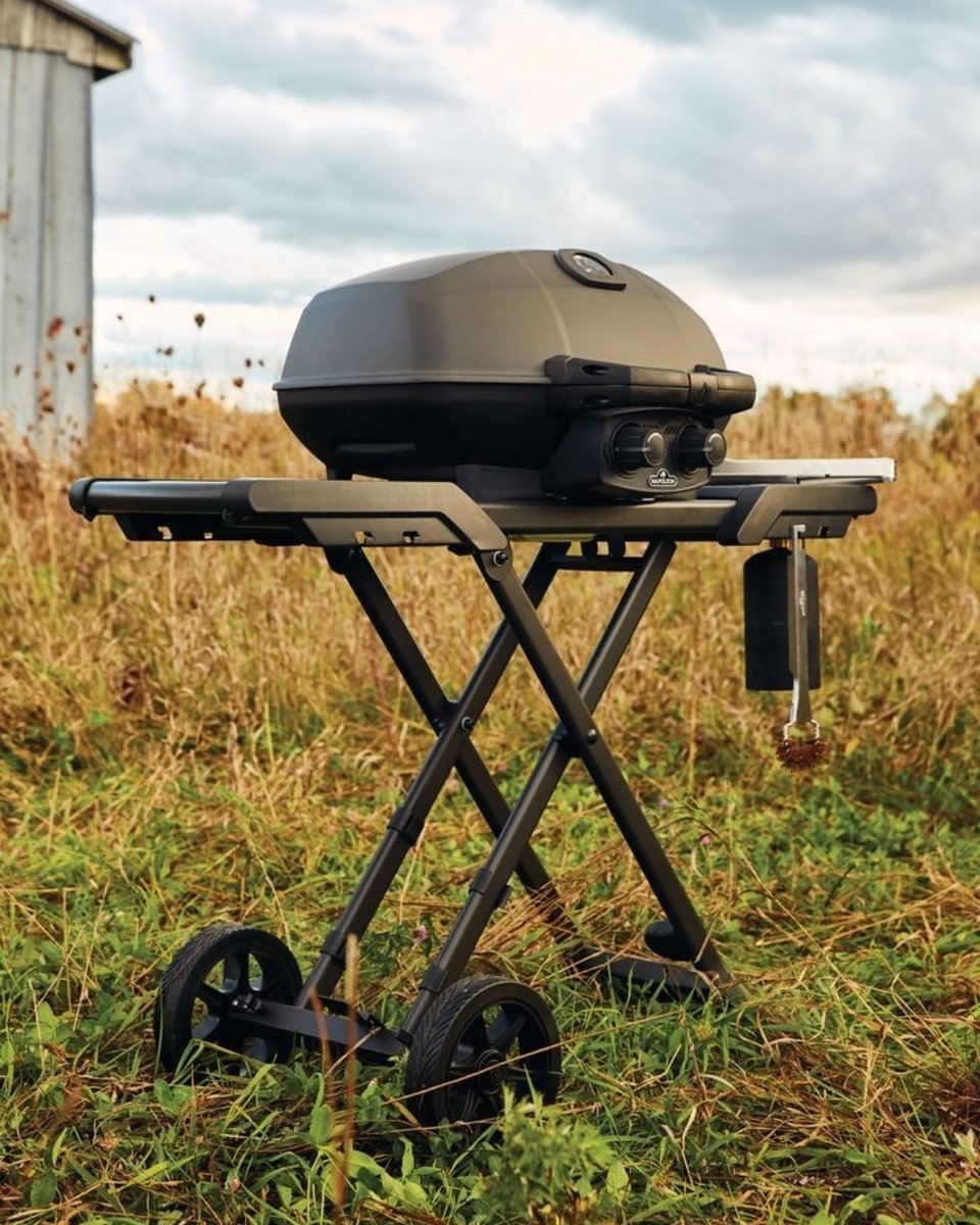 Our 'Travel Q' is a great way to cook your favourite food while outdoors or camping!

#camping #outdoor #napoleon #bbq #travelq #portablebbq