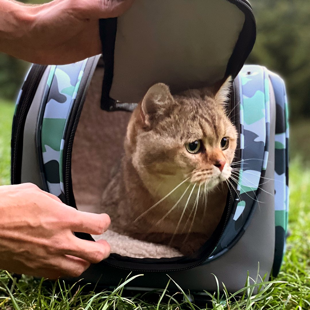 Disponible très bientôt ! Emmenez vos amis à 4 pattes dans toutes vos escapades 🐈🐕
_
Available soon! Bring along your 4-legged friends on all your escapades 🐈🐕