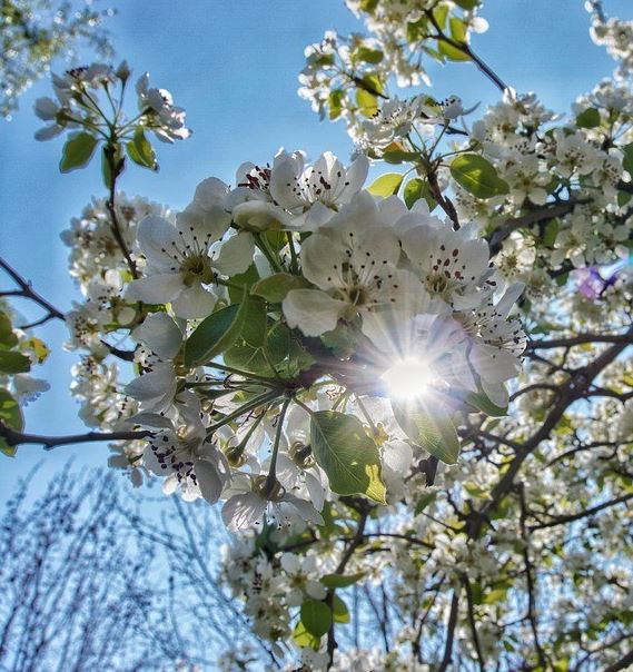 Happy Solar Summer! Today is the first day of solar summer, the start of the brightest quarter of the year. Sunshine is ahead for the next week. The air will be a bit cool into the start of the weekend, but a big warm-up is ahead going into next week. #MEwx