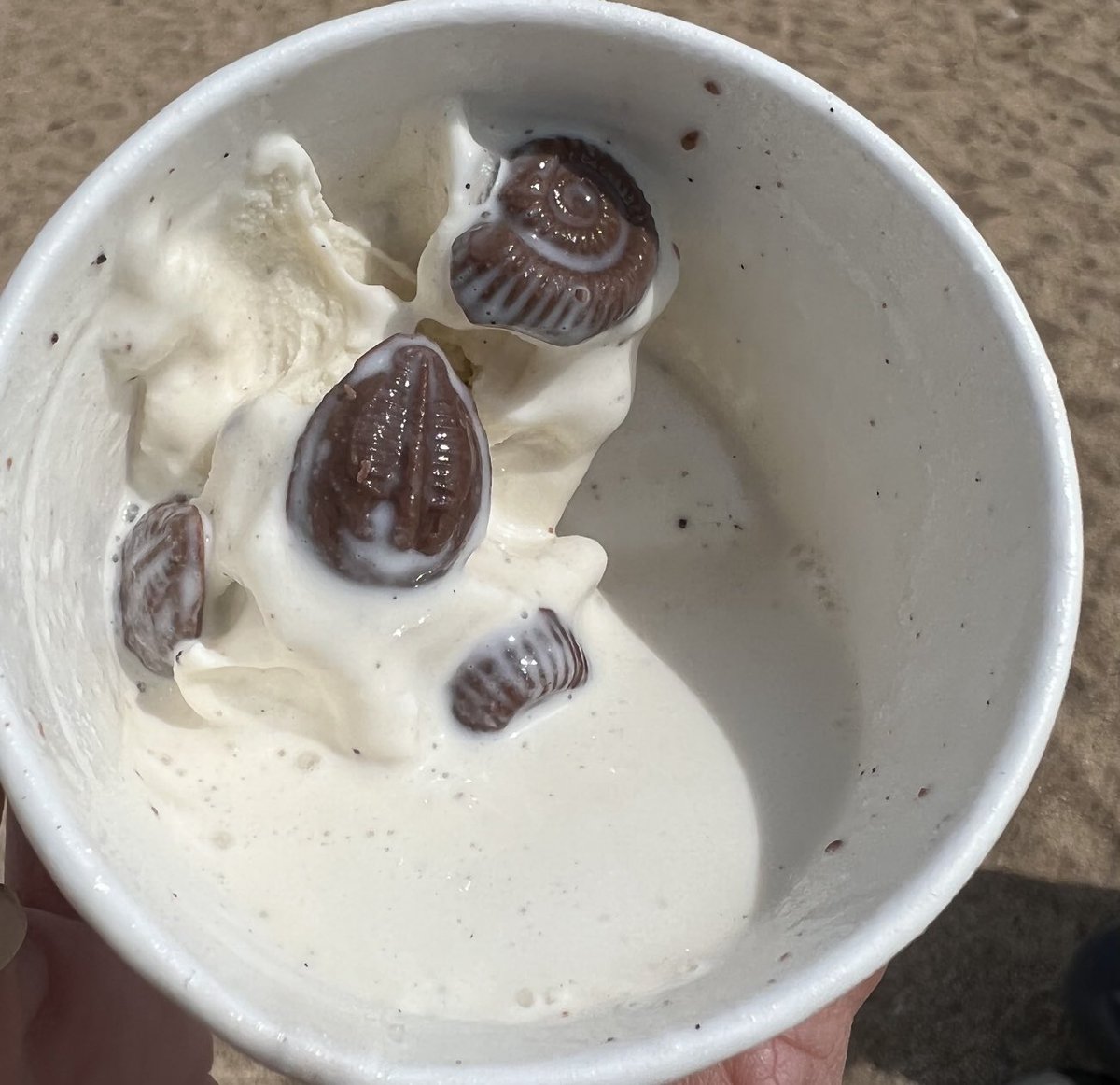 ErinSaupe's tweet photo. Trilobites coexisting with ammonites in this “Ammonite Bites” ice cream….seems problematic. https://t.co/YvXJcEIFUg
