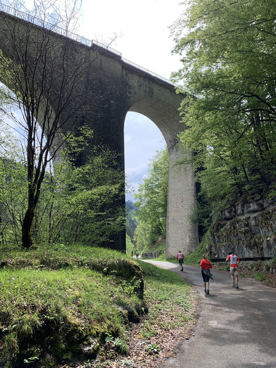 Polypolyrobrob tweet media