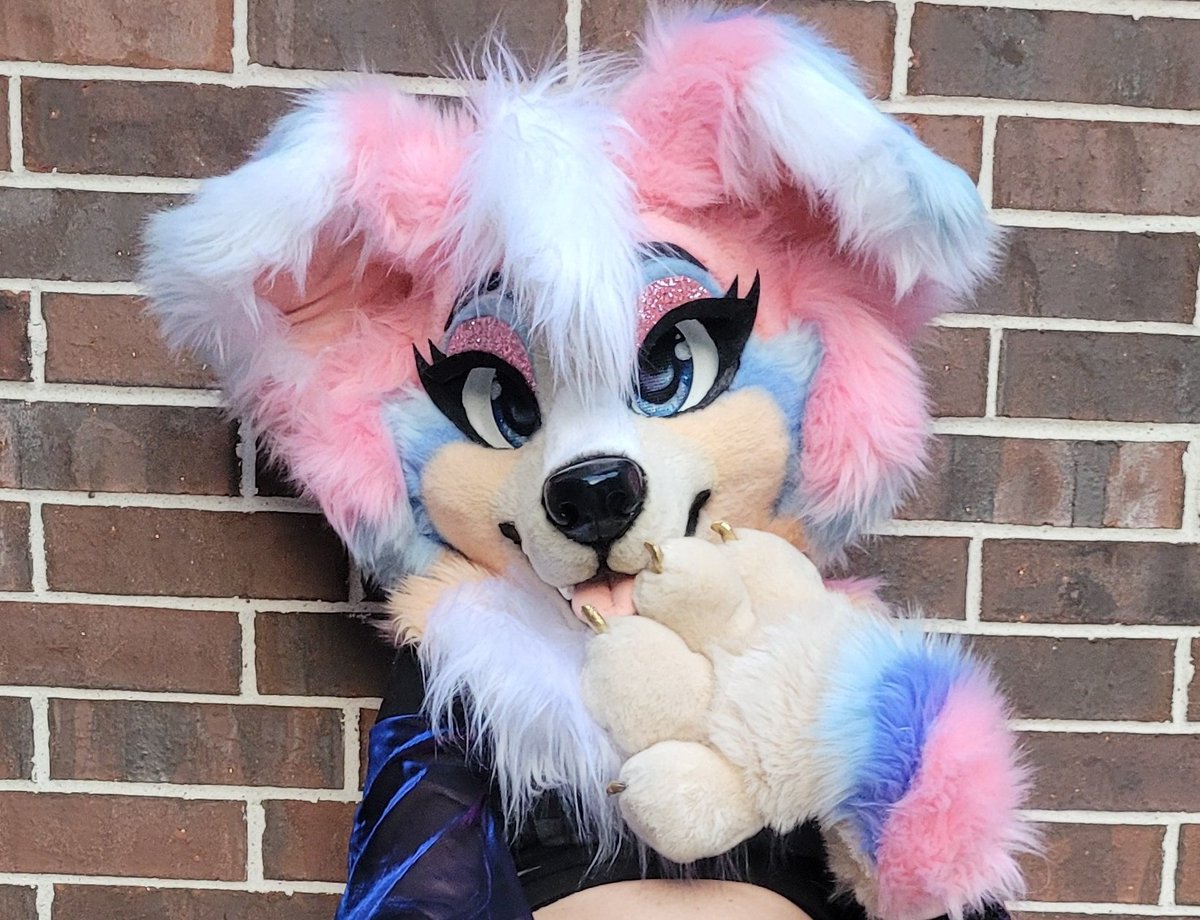 Glitzy_Fox's tweet photo. How to find me at #fwa2022 . On the con floor I'll be a pink thicc kitty or fox. 

I'll also be in artist alley selling 2 premade fursuits (last 2 pics)
Fri-Sun 10am to 3pm

I don't know a lot of people here tbh so pls invite me to ur parties and things. 💕🥺 https://t.co/DjRMAjkbM9