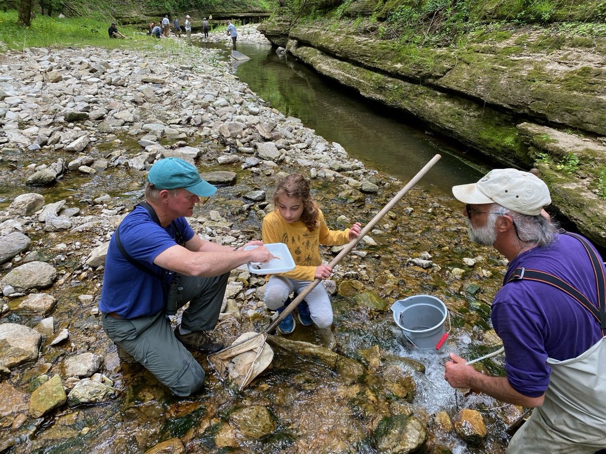 KentuckyEEC's tweet photo. Current/retired #TeamEEC biologists led activities at FloraCliff Nature Preserve during the iNaturalist City Nature Challenge, April 29-May 2, 2022. https://t.co/ituYKa9vRl Discovery: The first Pale-veined Isturgia Moth! Stay tuned for the final numbers. https://t.co/rk6W1WbwOs