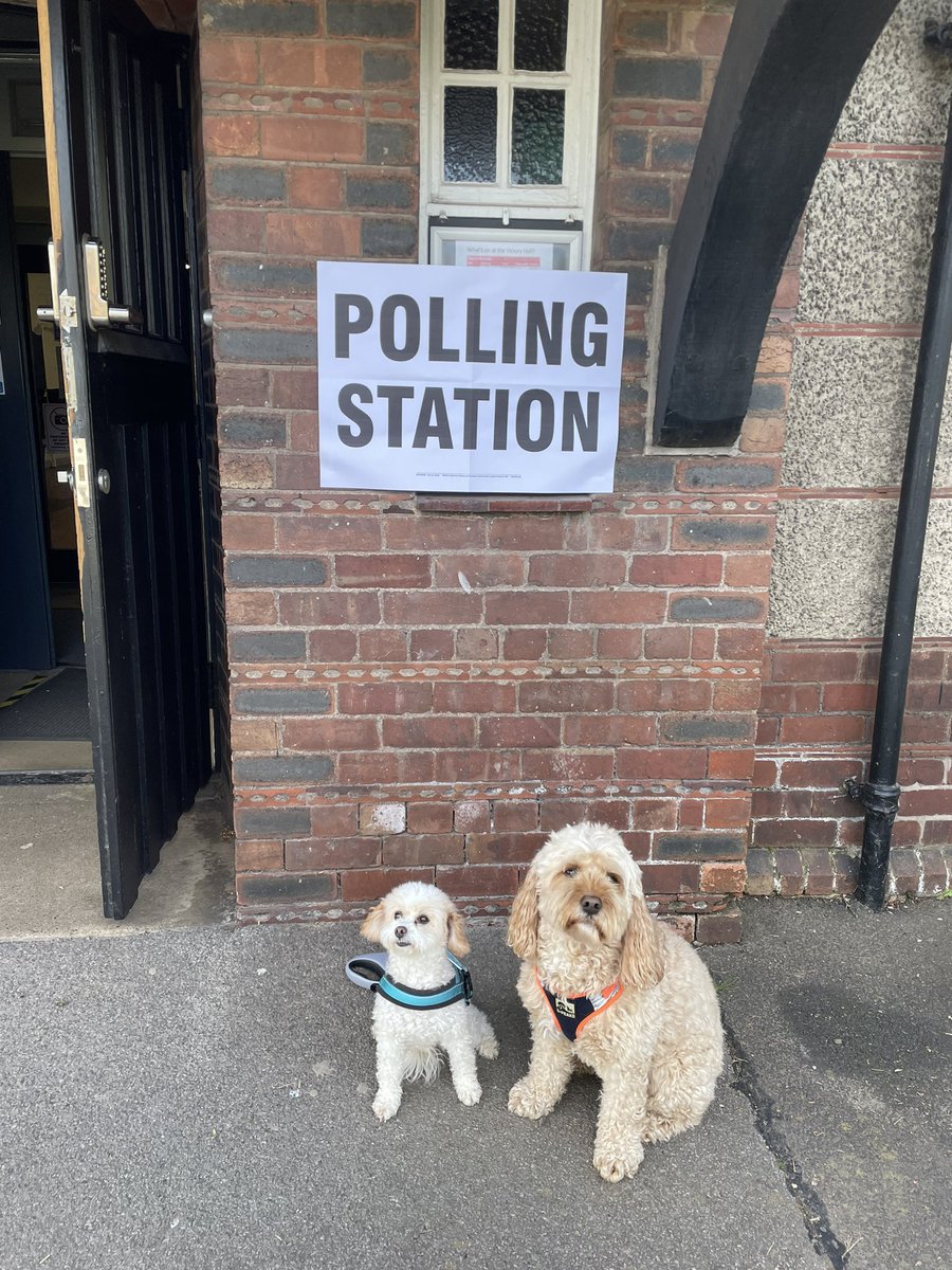 They get my vote! Dogs that vote together stay together 😍 #dogsatpollingstations <a href="/RachRach94/">Rachel</a> <a href="/studavo36/">Stuart Davison</a>
