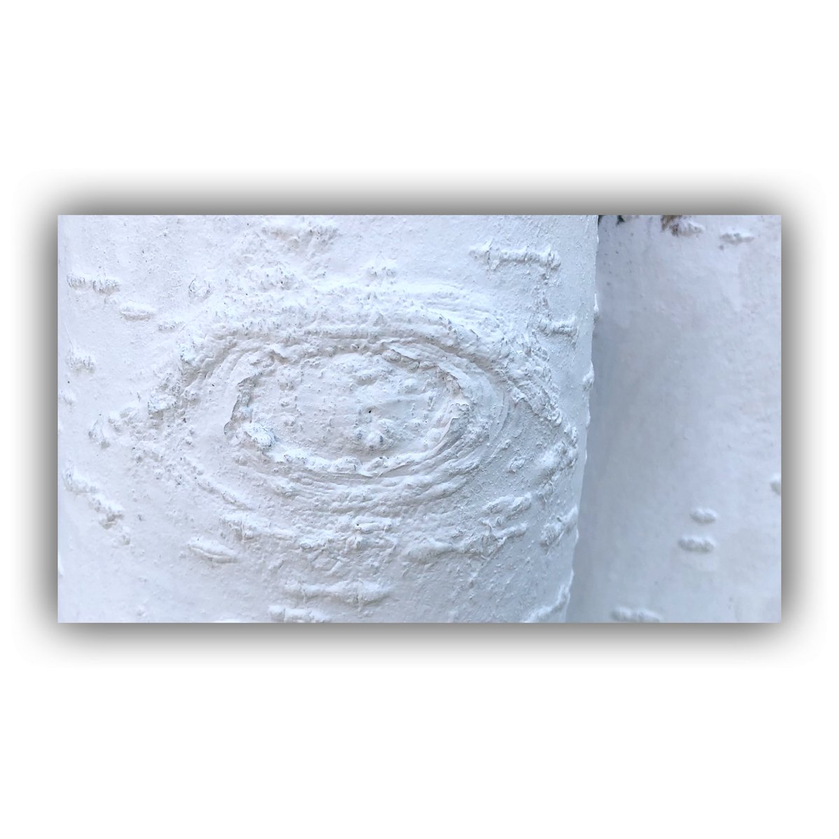 Yes No Ved tweet media