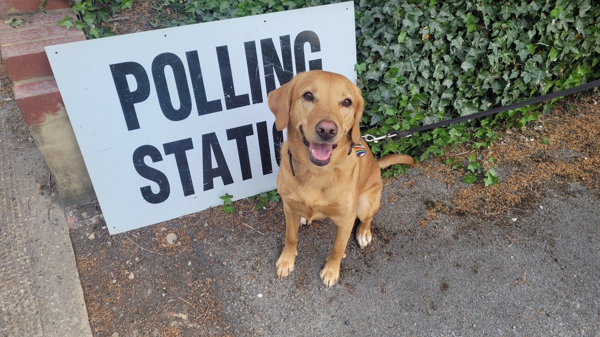 Catbell2708's tweet image. #dogsatpollingstations