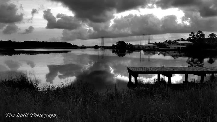 Tim Isbell tweet media