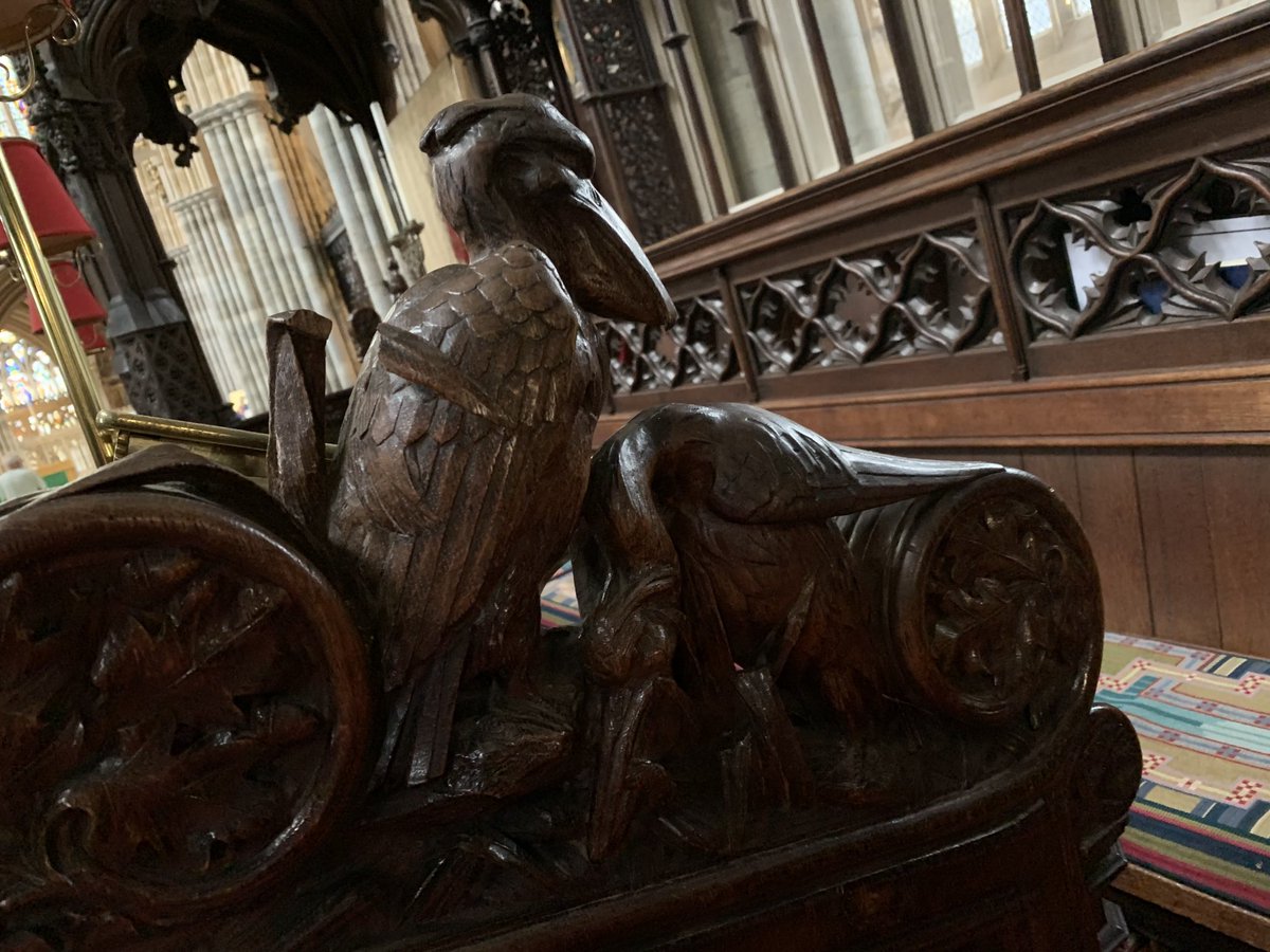 Barb_Drummond's tweet photo. Wonderful #BenchEnd #ExeterCathedral #ShoebillStork possibly unique https://t.co/4pl2NQNwJx