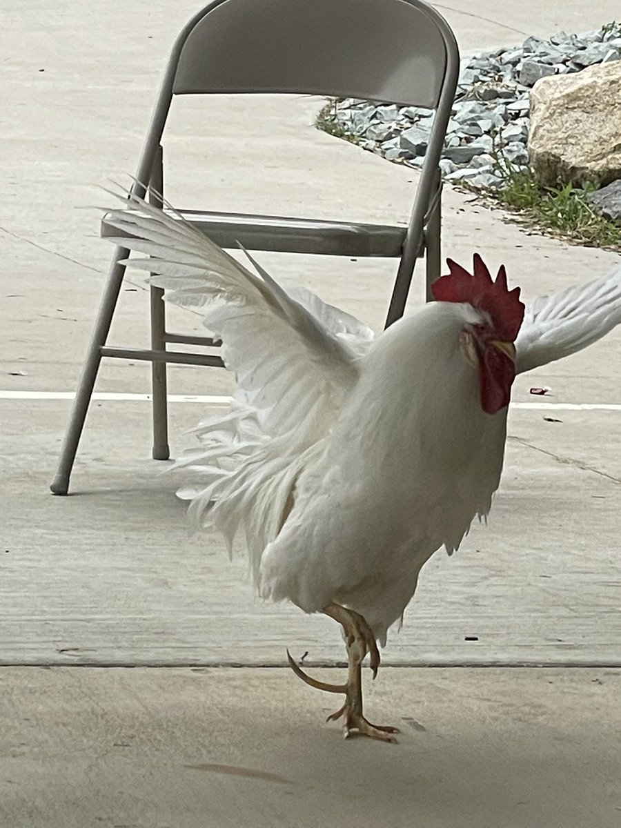 JhsCdc's tweet photo. Professional Development at the Hub Farm @DPSHubFarm @JHSFalcons #FutureReady #dpscte @JhsCdc https://t.co/SR73n167NL