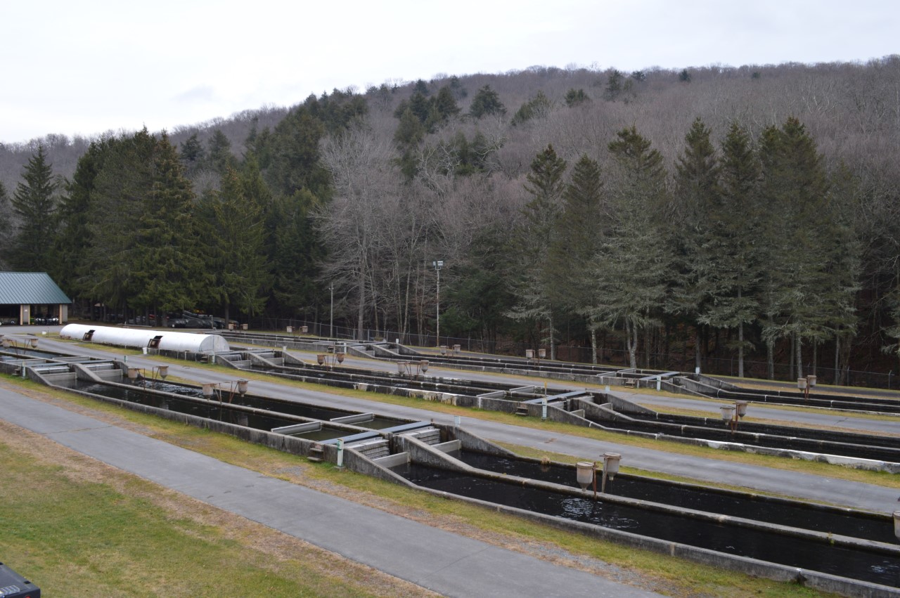 NYSDEC on Twitter "We are hiring a Facility Operations Assistant 1