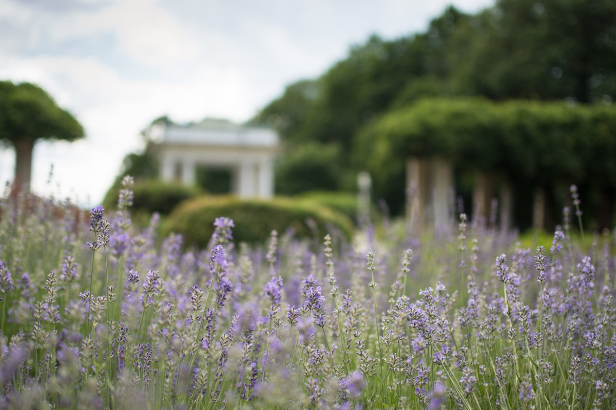 Bard Alumni/ae Assoc (@bardalumni) on Twitter photo This season, take the simple step of creating your will to protect your loved ones and secure the future of Bard College forever. This free online tool makes it simple to get started: bit.ly/3vCrKkv #bardianandproud This season, take the simple step of creating your will to protect your loved ones and secure the future of Bard College forever. This free online tool makes it simple to get started: bit.ly/3vCrKkv #bardianandproud