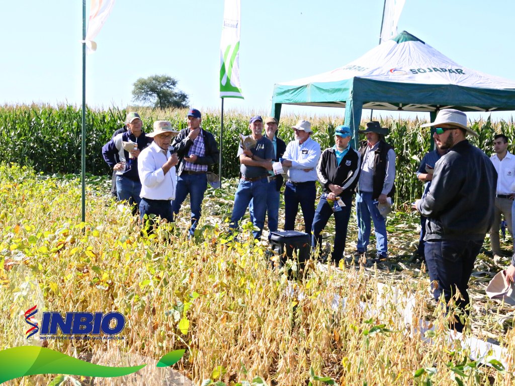 INBIOPY's tweet photo. En el día de campo de la Fundación Ideagro en el Chaco Central, se destacaron las variedades SOJAPAR por su rusticidad y buena adaptación a las condiciones extremas, además de su menor sensibilidad al fotoperiodo, que asegura un mejor porte. https://t.co/oRmXCKuvL5
