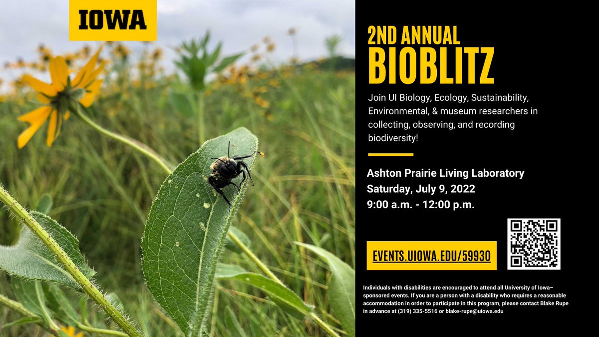 SAVE THE DATE: The 2nd Annual BioBlitz at the Ashton Prairie Living Laboratory is scheduled for July 9th from 9am-12pm. This event is for all-ages, registration is now open! More info here: 
events.uiowa.edu/59930