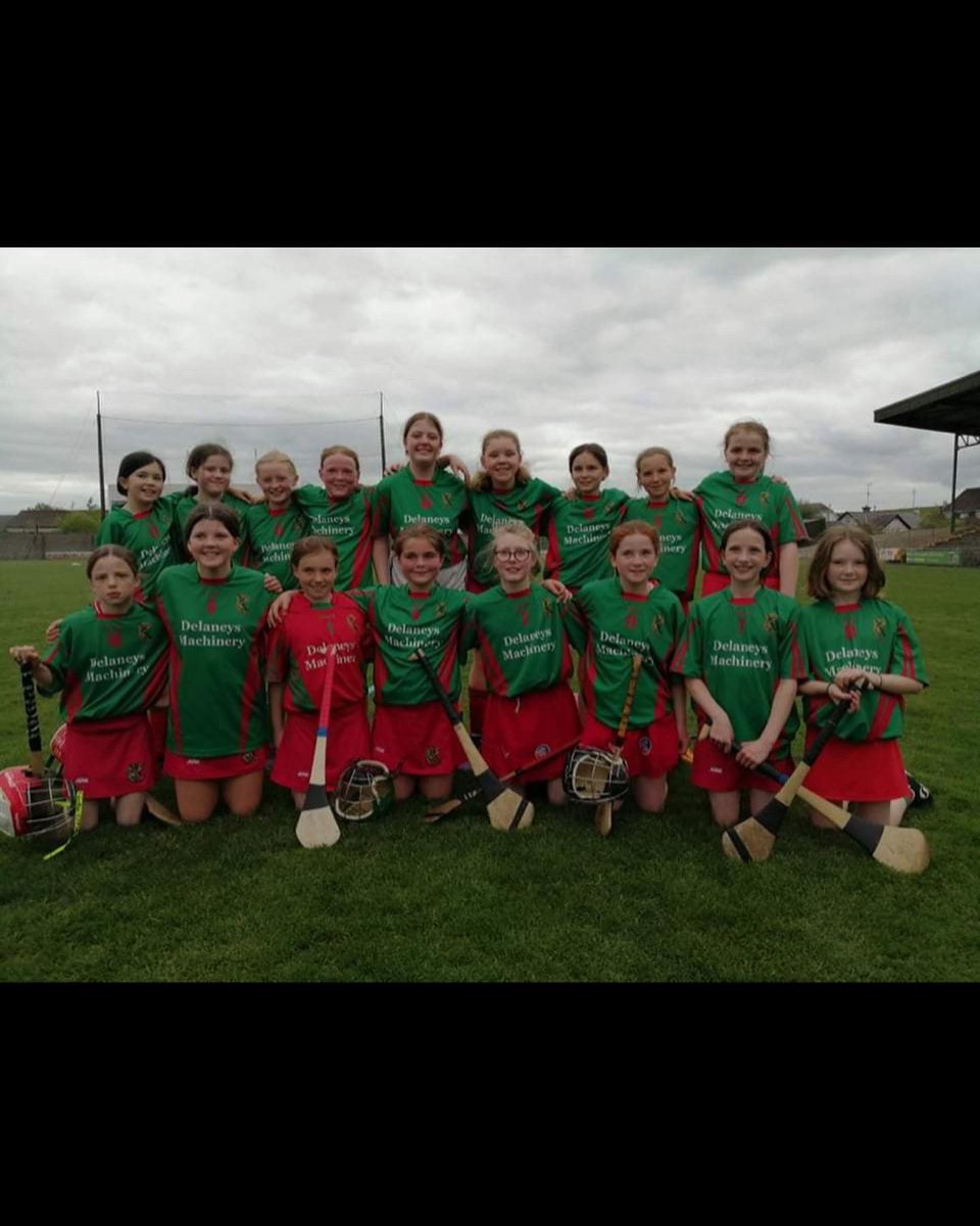Birr Camogie Club tweet media