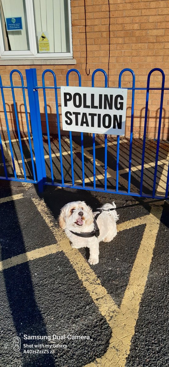 stuartattwood13's tweet photo. #dogsatpollingstations
#ToriesOut5thMay

Klinsi doing his democratic duty https://t.co/tg8B6C4SMJ