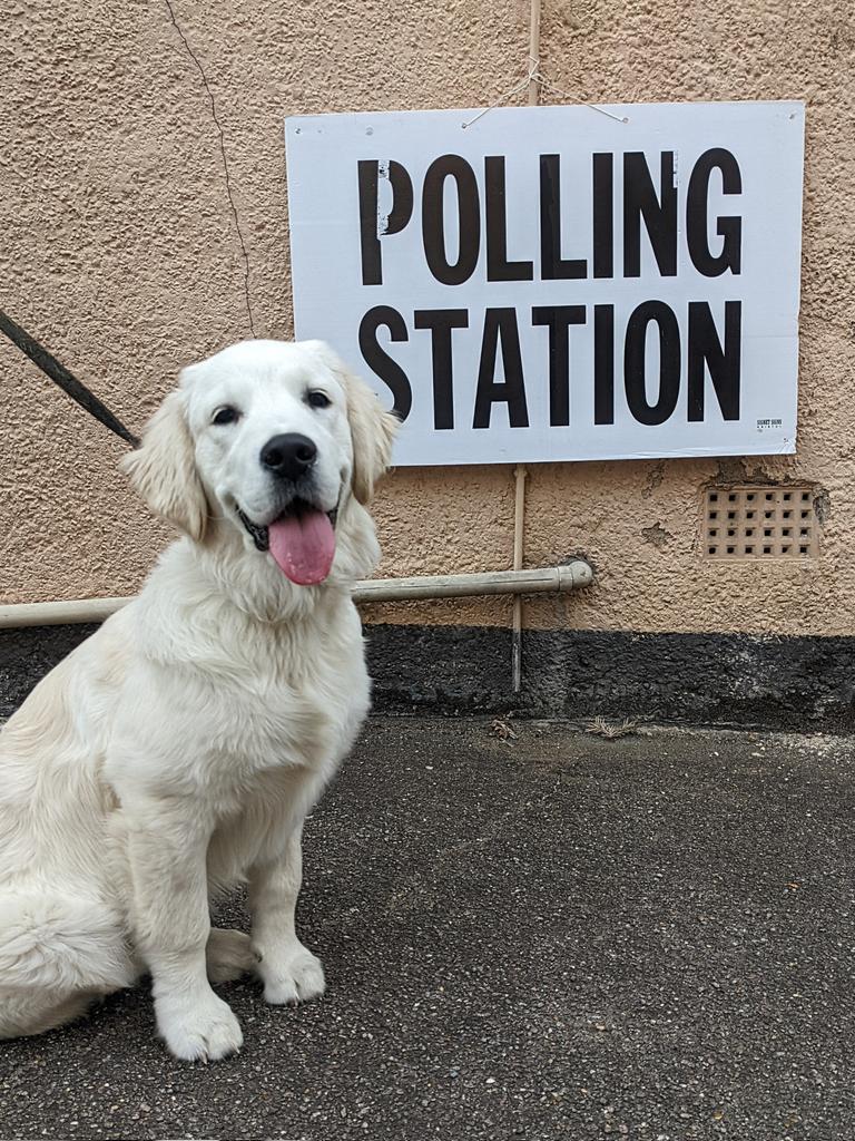 #dogsatpollingstations #vote