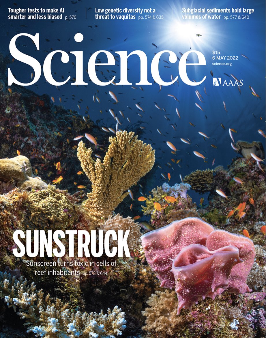 On this week’s <a href="/ScienceMagazine/">Science Magazine</a> cover, Bill Mitch’s group gets to the bottom of a dark sunscreen mystery: anemones unwittingly turn oxybenzone sunblock into a glucoside conjugate that insidiously acts as a photooxidant instead science.org/doi/10.1126/sc…