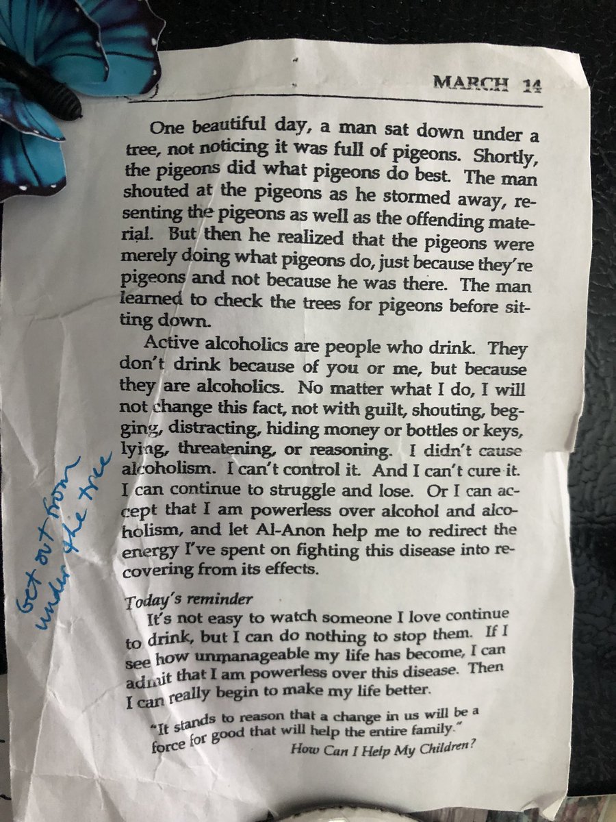 jld516's tweet photo. Pigeon page https://t.co/JCHKiRzGRE