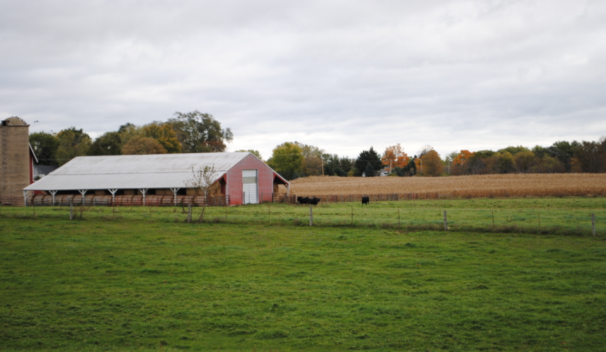 ClariFlyCentral's tweet photo. Using a combination of #flytraps, #flybaits, and feed-through products gives #dairy producers a complete #fly control program that will keep fly populations below the economic threshold. #ClariFly https://t.co/Bap4ScaL4b https://t.co/m2YhK2O8P4