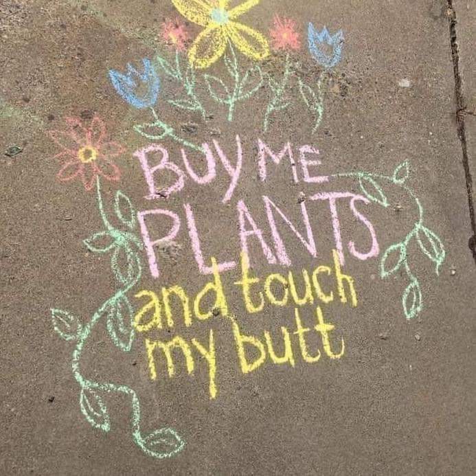 propgationation's tweet image. 😁🤙🌻