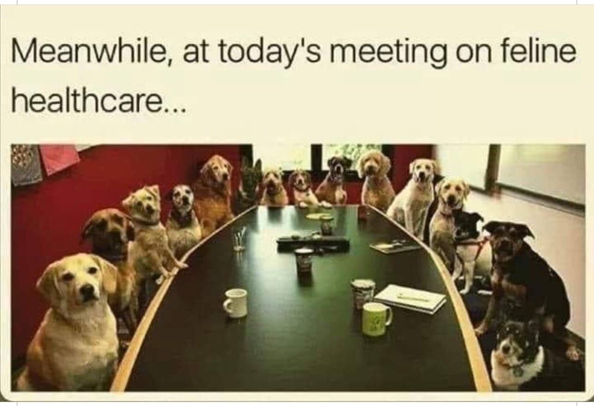 country_ca's tweet photo. @AmoneyResists https://t.co/UIwSSKFzTh