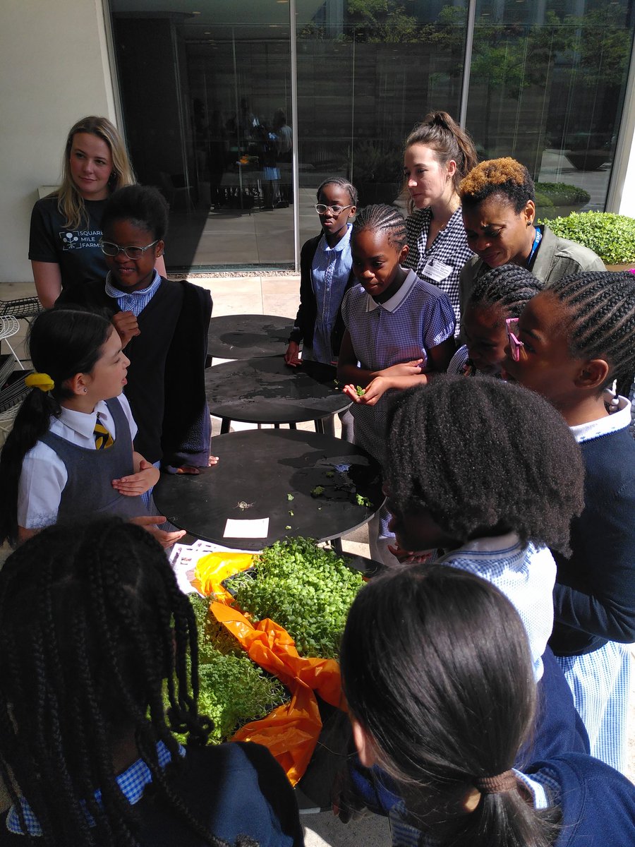 Fantastic afternoon with Year 4 children at <a href="/StMonicas_N1/">St Monica's Catholic Primary School</a> at Oliver's Yard learning about urban farming and microgreens with <a href="/SM_Farms/">Square Mile Farms</a>. Thanks to <a href="/derwentlondon/">Derwent London</a> for making it all happen!