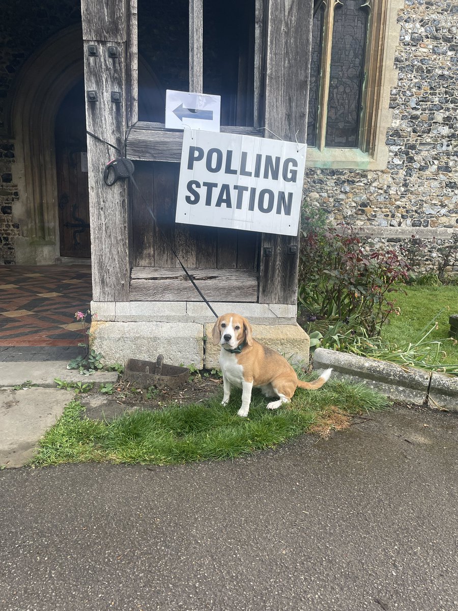marley_beagle's tweet photo. Bessie  beagle keen to vote !  Looking for some devine intervention #dogsatpollingstations @BBCNews @TheSun @DailyMirror @itvanglia @yourharlow @BBCEssex @itvlondon @ https://t.co/DeKGZIMAWg