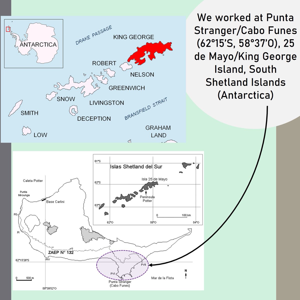 FogelJazmin's tweet photo. 2/4
We reported the presence of anthropogenic residues associated with Stranger Point #penguin colony 🐧 located within the Antarctic Specially Protected Area (ASPA) No 132“Potter Peninsula”, during the last austral summer.#ContSesh1 #MarinePlastic #Monitoring #Antarctic #WSTC8 https://t.co/50ZZSvMHtT