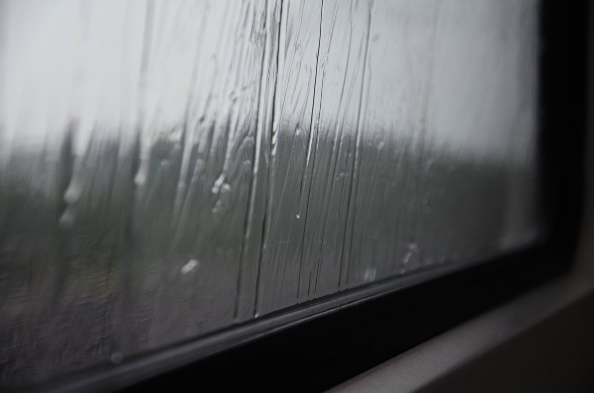 OverWoods_PS's tweet photo. We've published another Wordle Inspired short (No spoilers!) You can find "Melting on the Train" on our blog below V V

"It occurs to me now how much I like the rain. The way it softens things. Blurs them together." #WritingCommunity 
https://t.co/UyBW9Xwk4Y https://t.co/t58KYhBTwg