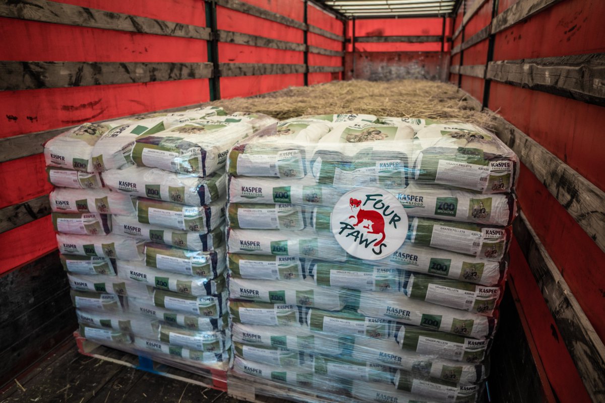 fourpawsint's tweet photo. #FoodForAnimals🇺🇦 A mission across borders 🌍🚂 First milestone accomplished!  In cooperation with the Austrian Federal Railways @unsereOEBB the supplies were transported to the Ukrainian border by train. https://t.co/rJLWay7ngu