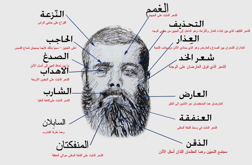 aboualhassan6's tweet photo. تفصيل أجزاء شعر الوجه في لغتنا العربية 
وعَدُّشعور الوجه عشر فهاكها 
عِذاران مع هُدْبان يتلوه شاربُ
وعَنْفُقةٌ مع حاجبين يليهما 
سبالان غسل الكل في الشرع واجبُ https://t.co/lPd1I9LIKz