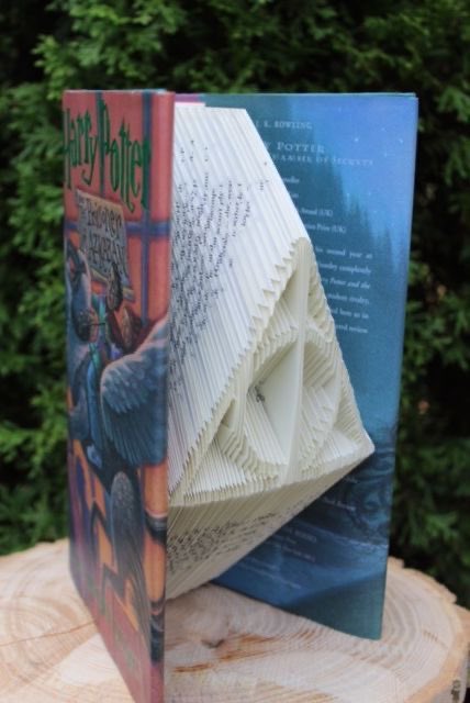 por un lado me hace mal ver las hojas tan dobladas pero por el otro son una obra de arte ⚡️