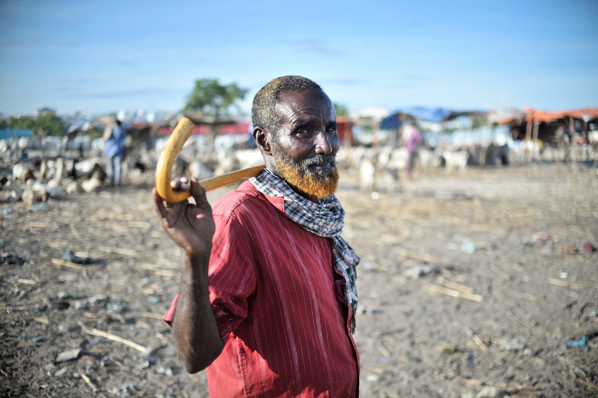 How can we learn from #community networks that farmers & herders use to provide #EarlyWarnings & mitigate #climate impacts? 

Join @Lena_A_W at @LEP_HNPW event on May 10 as she shares views of pastoralists in Somalia @hpg_odi @REACH_info 

Sign up here 👇
bit.ly/3KGxSMB