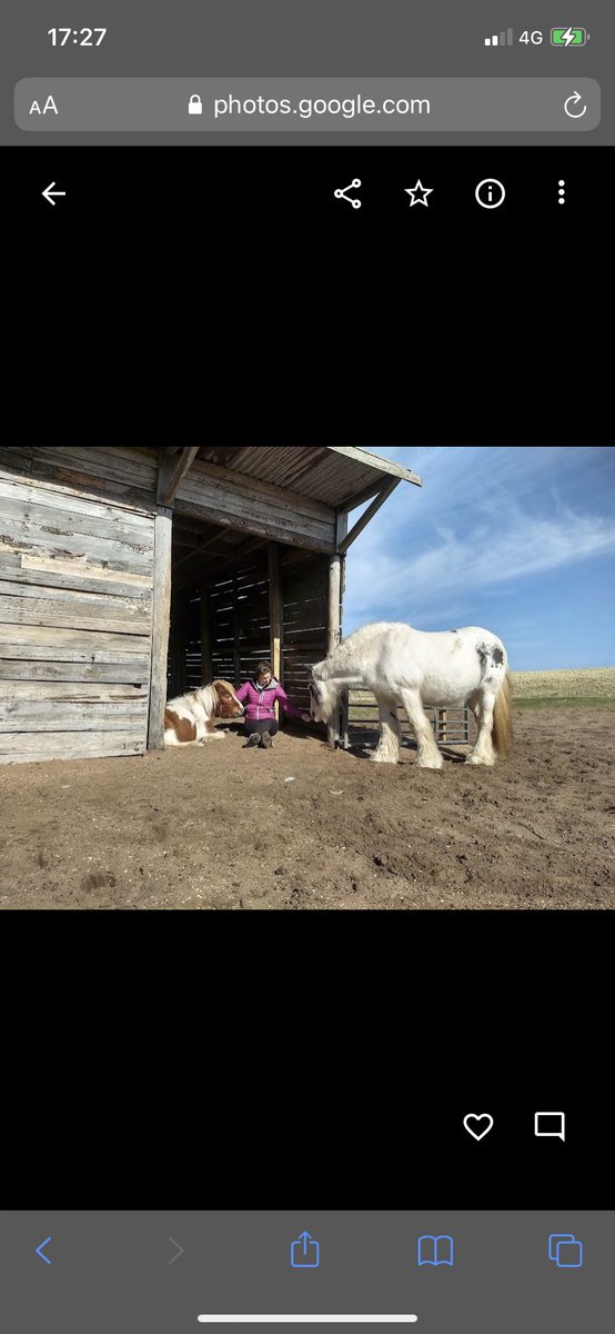 Week 2 also saw some women taking part in #embodied try #equinetherapy with <a href="/MidiFairgrieve/">Midi Fairgrieve #KBF</a> 
This whole project focusses on body based practices and the role of community in #traumarecovery #traumainformedscotland <a href="/merrick_pope/">Merrick Pope</a> @CatrionaGrant. Thanks <a href="/QNI_Scotland/">QNIS</a> for funding ❤️