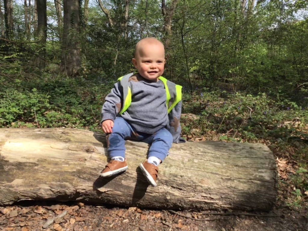 Bright Horizons Fair oak tweet media