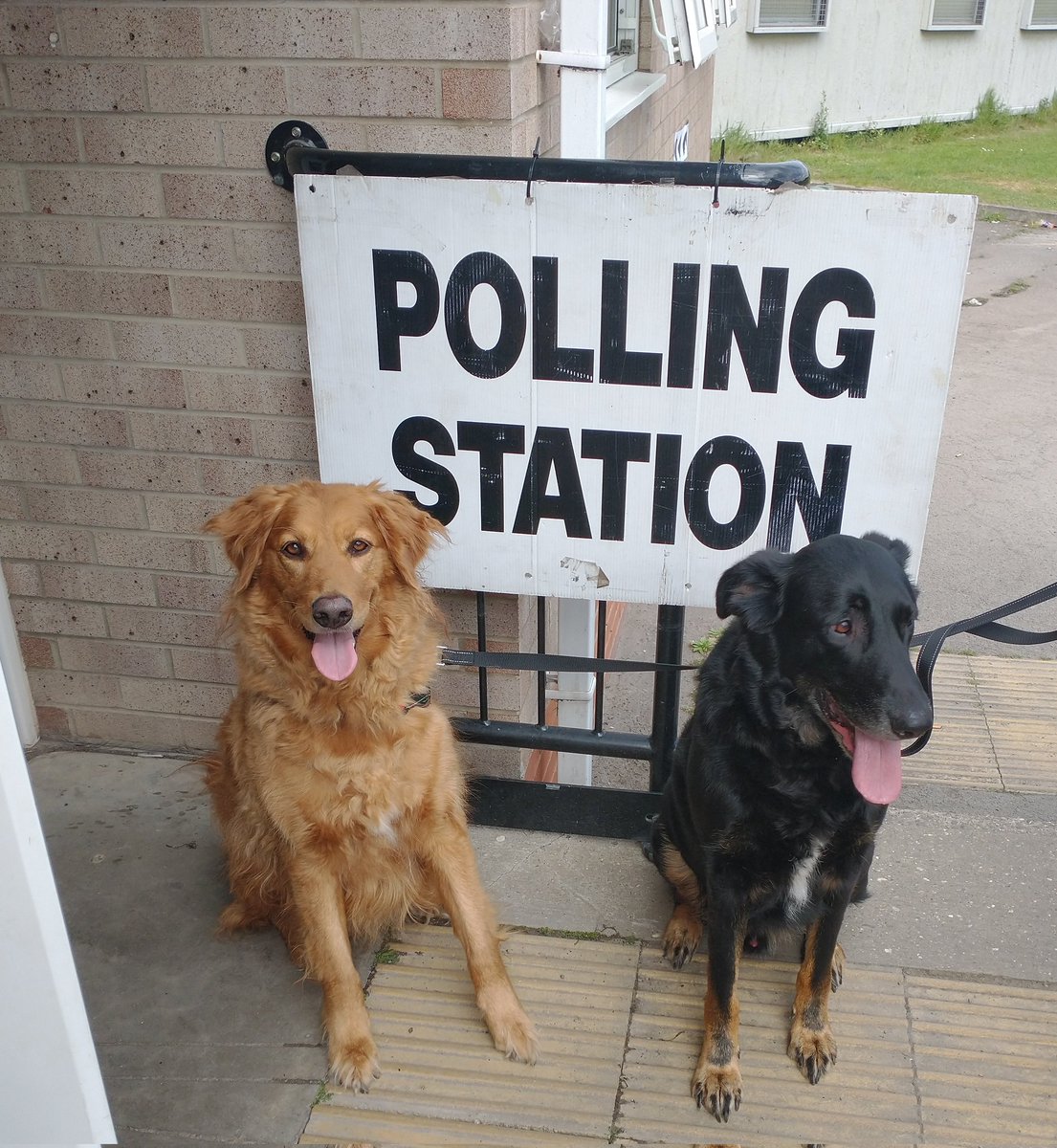 Niall_Jon's tweet photo. #DogsAtPollingStations #VoteLabour https://t.co/iztJ8q362Y