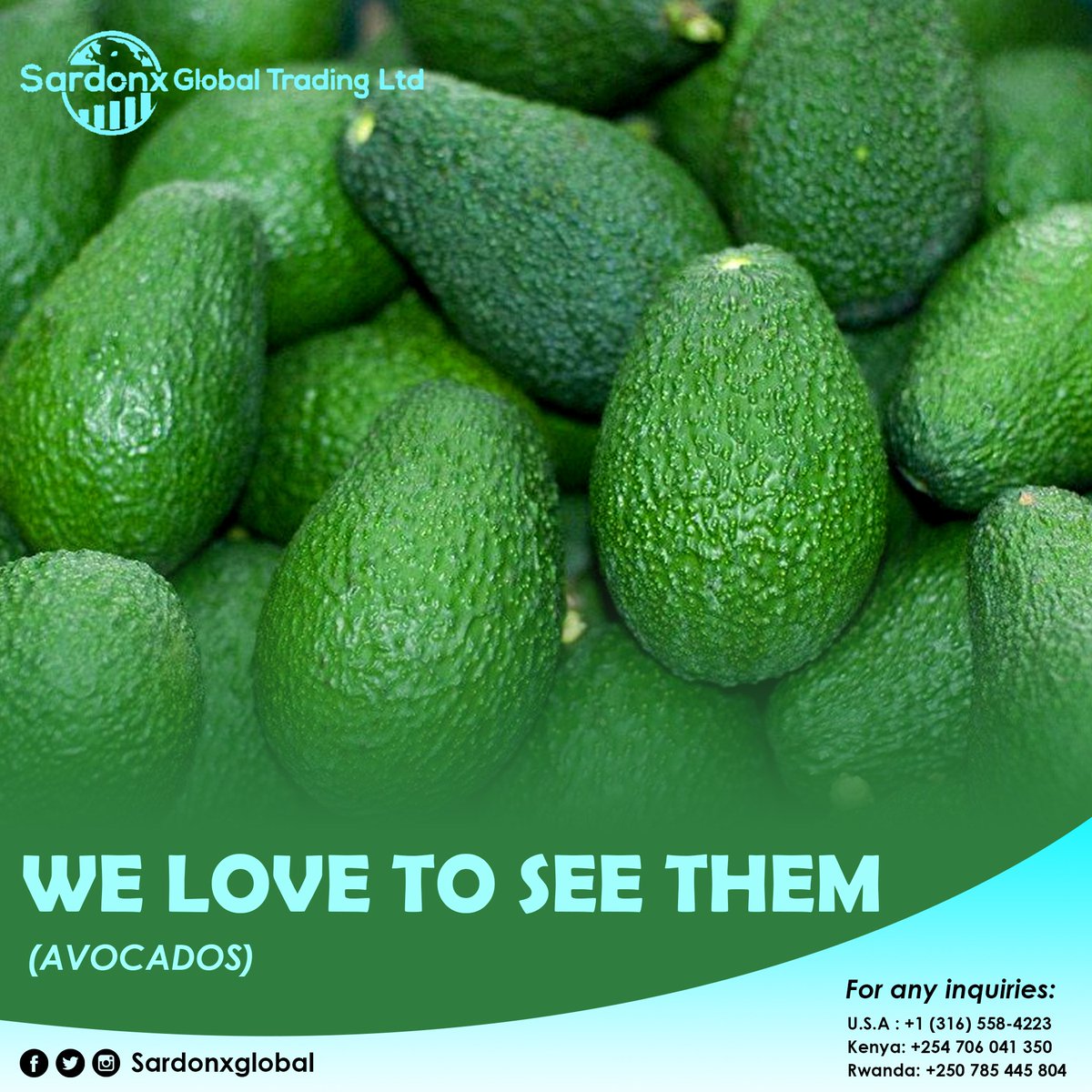 sardonxglobal's tweet photo. As professional Farmers, this is one of our happiness @sardonxglobal

For any inquiries, Contact us on:
🇺🇸: +1 316 558 4223
🇰🇪: +254 706 041 350
🇷🇼: +250 785 445 804
. 
#agro #agriculture #agricultureinrwanda #agricultureinkenya #agrobusiness #kinihira   #visitrwanda https://t.co/a1UprBrdTM