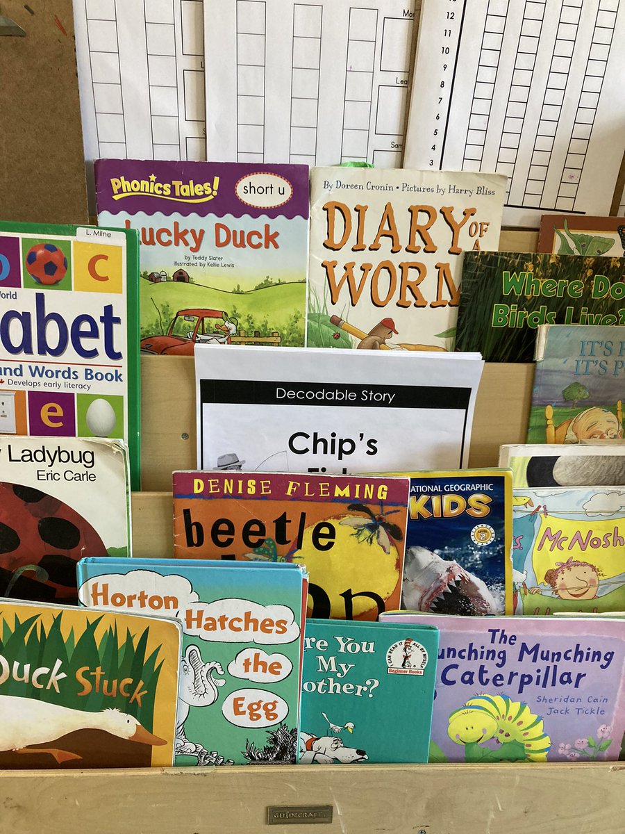 Mrs_L_Addison's tweet photo. Our class wrote and illustrated our own #DecodableBook and it now lives on our classroom bookshelf for all to enjoy and share. #StructuredLiteracy #ScienceOfReading @TLDSB @TLDSB_EY https://t.co/wBxsuWOIgb