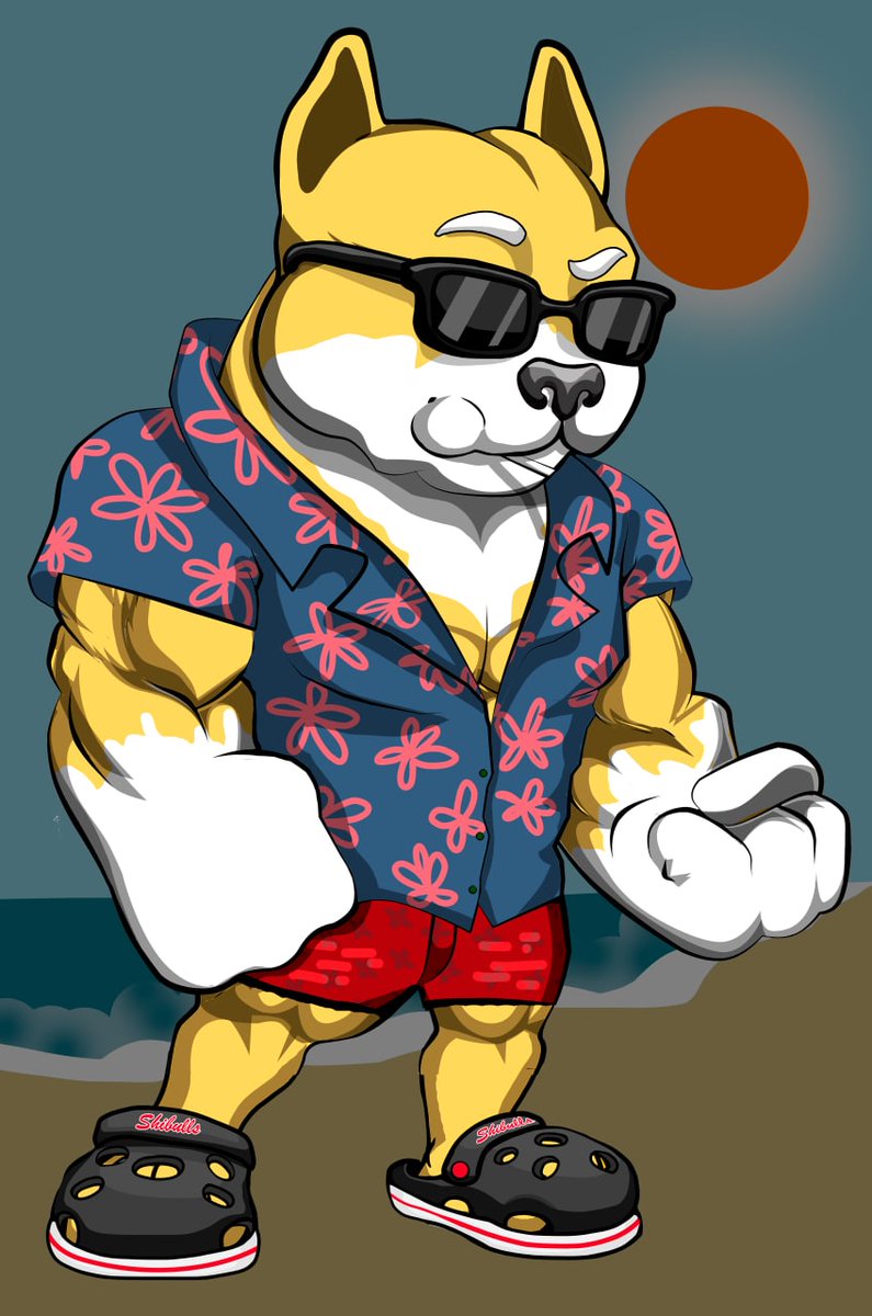 shiba warrior tweet media