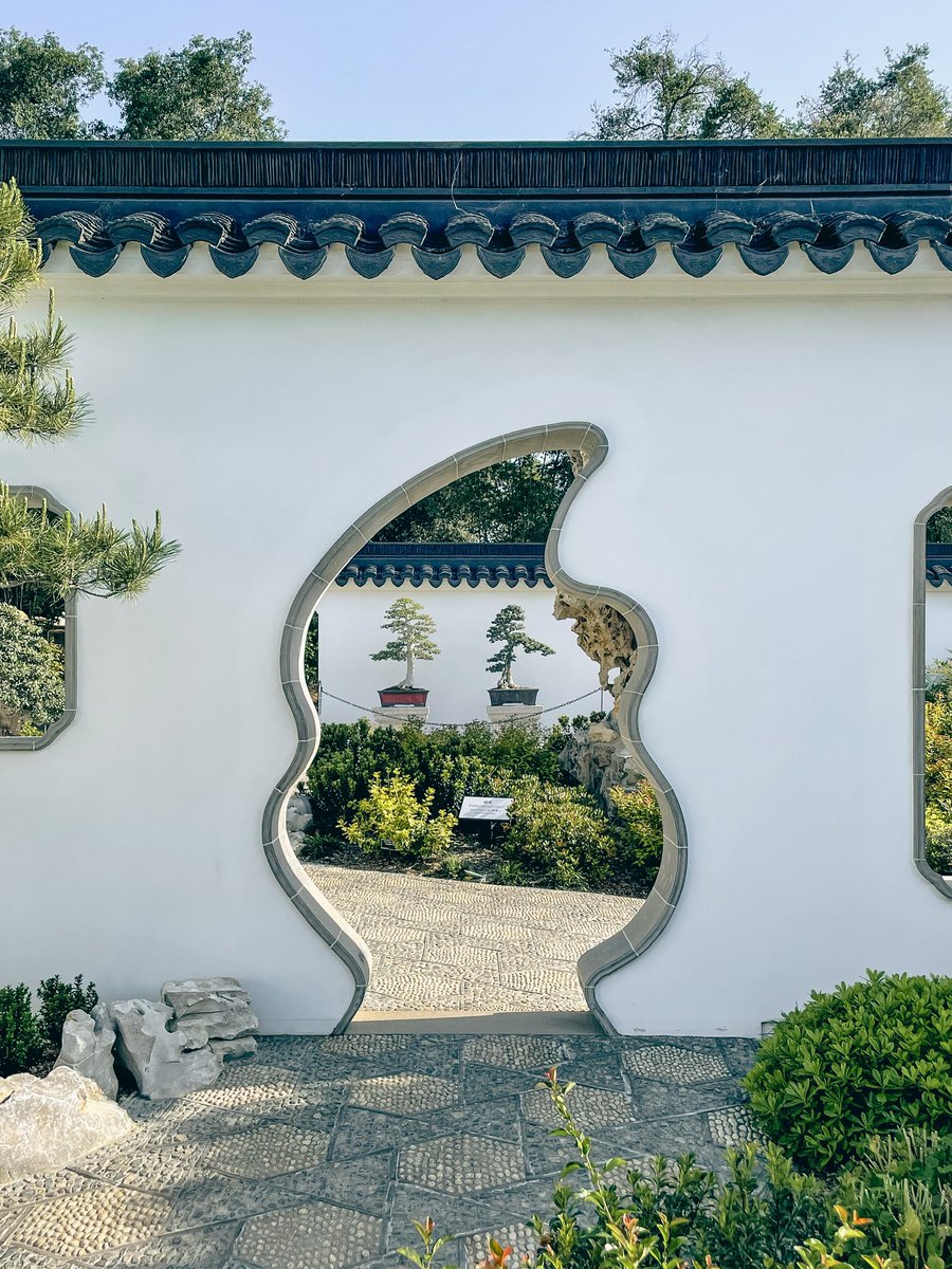 If you haven’t been to Huntington Gardens <a href="/TheHuntington/">The Huntington</a> I highly recommend. The bonsai trees are wonderful
<a href="/zenft_/">ZENFT</a>