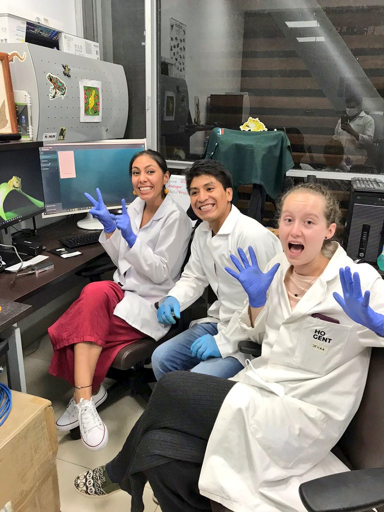 Mauricio Ortega tweet media