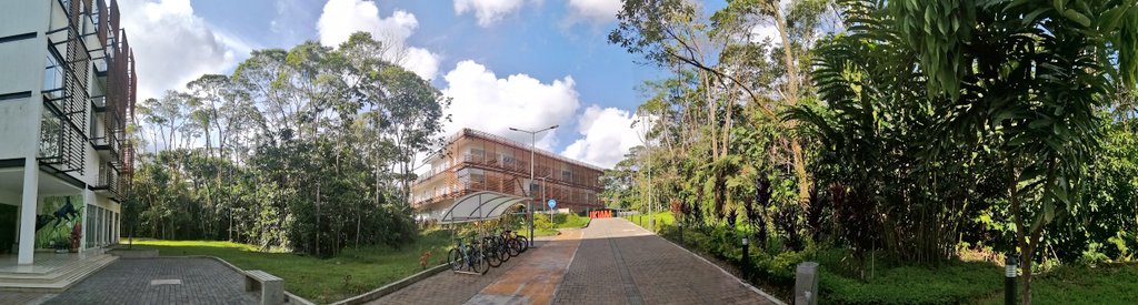 Mauricio Ortega tweet media